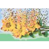 Paint by Number - Blown Sunflowers