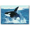 Diamond Painting - Orca Jump