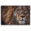 Diamond Painting - Predatory Look of a Lion