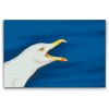 Diamond Painting - Seagul