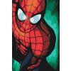 Paint by Number - Spiderman 2