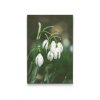 Diamond Painting - Lilies of the Valley