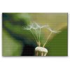 Diamond Painting - Dandelion