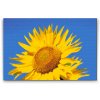 Diamond Painting - Blue Sky and Sunflower
