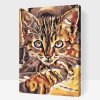 Paint by Number - Curious Kitten