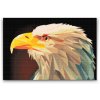 Diamond Painting - Eagle with a Yellow Beak