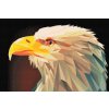 Diamond Painting - Eagle with a Yellow Beak