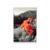 Diamond Painting - Poppy in the Mountains