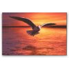 Diamond Painting - Seagull over the Sea