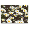 Diamond Painting - Daisies in the Meadow