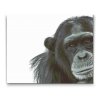 Diamond Painting - Chimpanzee