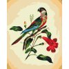 Paint by Number - Vintage Bird