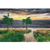 Paint by Number - Beach, Sea and Palm Trees