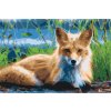 Paint by Number - Fox