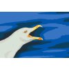 Paint by Number - Seagul