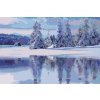 Paint by Number - Snowy Landscape