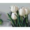 M11_Painting_by_Numbers_-_White_Tulips