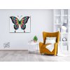 Paint by Number - Butterly in Colors