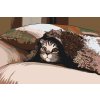 Paint by Number - Kitty under the Pillow
