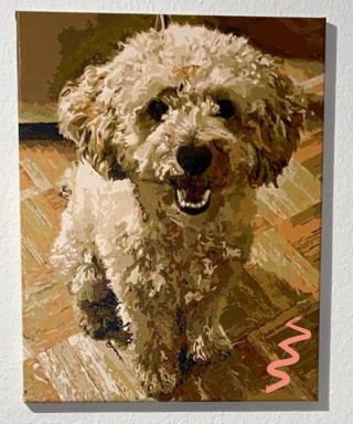 Prachtig werk van onze klant! 🐶 Zo mooi werd het schilderen op nummer van een hond vanaf een eigen foto. Bedankt voor de...