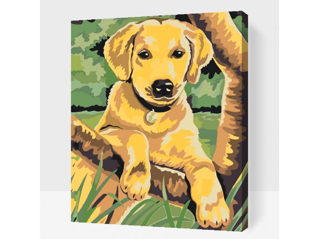 Enonočne poslikave: Sprostite se ob ustvarjanju enostavnih slik
