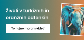 category_banner_big_mobile