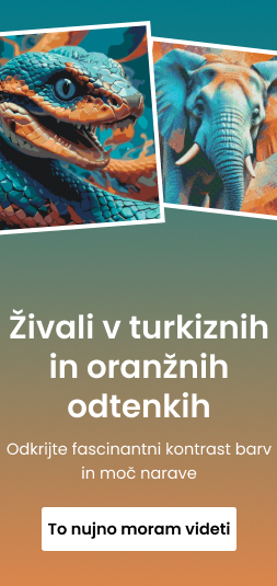 category_banner_small