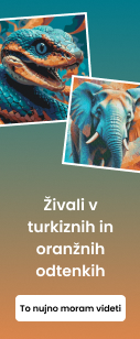 category_banner_small_mobile