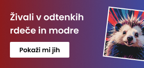 category_banner_big_mobile