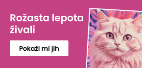 category_banner_big_mobile