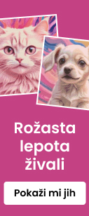 category_banner_small_mobile