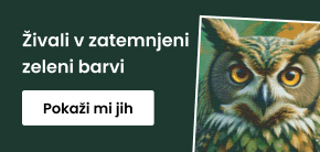 category_banner_big_mobile