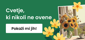 category_banner_big_mobile