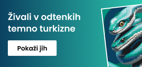 category_banner_big_mobile