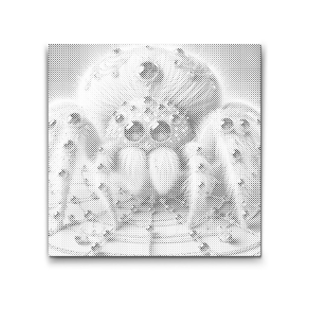 M2_Dotting_Points_-_Briliant_Spider_
