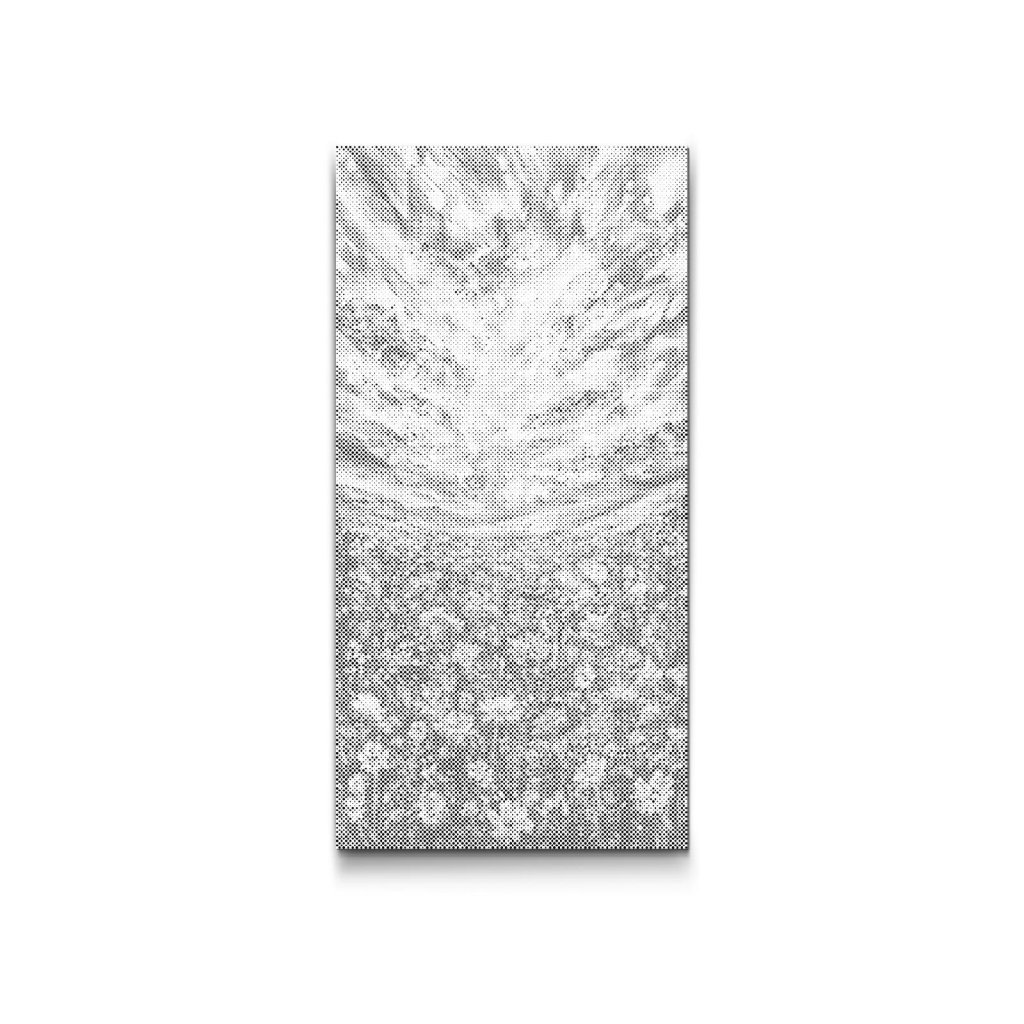 M2_Dotting_Points_-_Flower_field_at_dusk