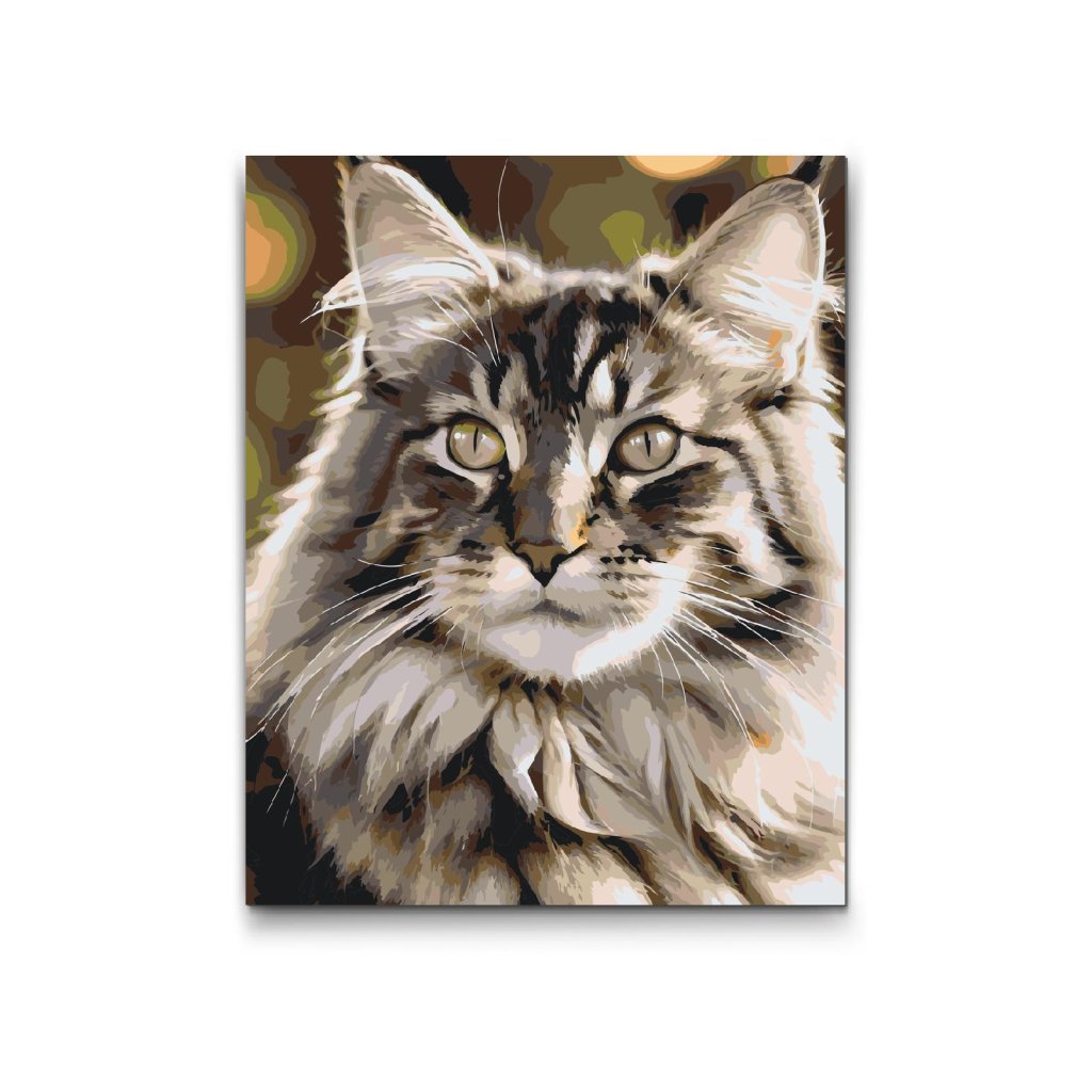 M2_Painting_by_Numbers_-_Maine_Coon_cat