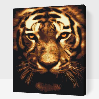 Paint by Number - Tiger in Lights