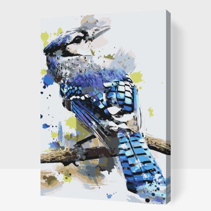 Paint by Number - Cyanocitta