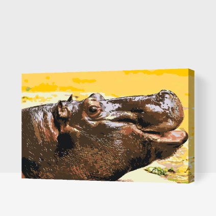Paint by Number - Safari Hippo