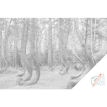 Dotting points - Crooked Forest in Poland