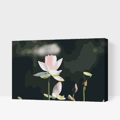 Paint by Number - Lotus Flower