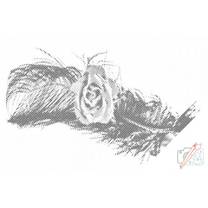 Dotting points - Rose in a Feather