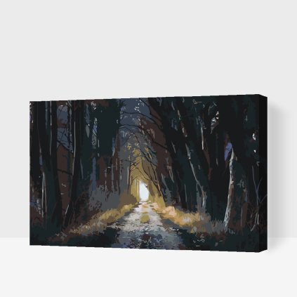 Paint by Number - Dark Forest