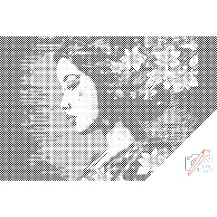 Dotting points - Geisha