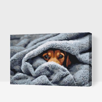 Paint by Number - Doggy eyes under the cover 2