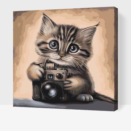 Paint by Number - Kitten with a camera 2