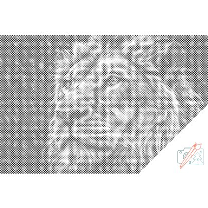 Tečkování - Lev za deště