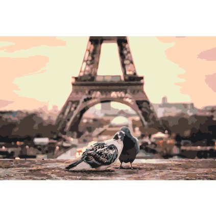 Paint by Number - Pigeons in Paris