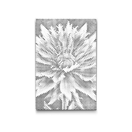 M2_Dotting_Points_-_Cornflower_flower